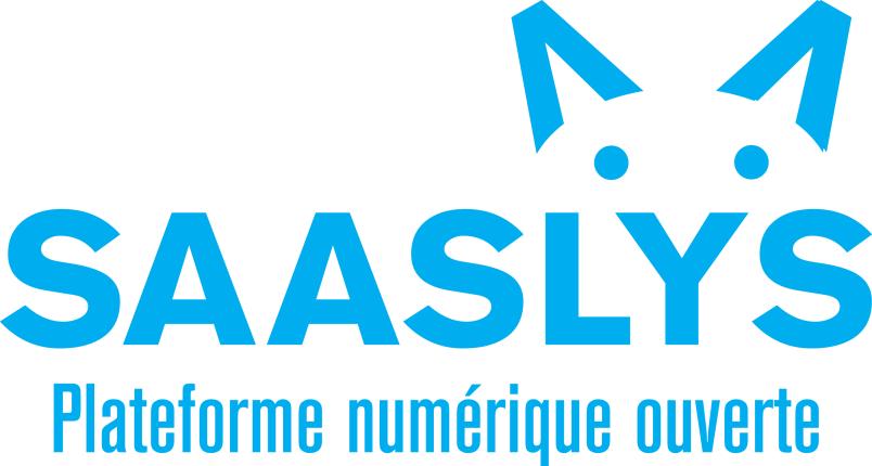 Saaslys – accueil