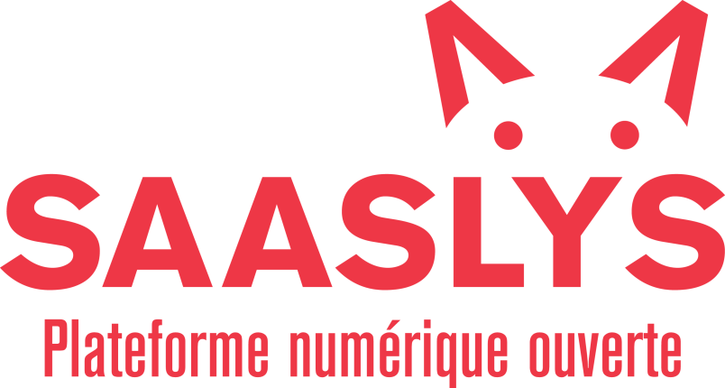 Saaslys – accueil